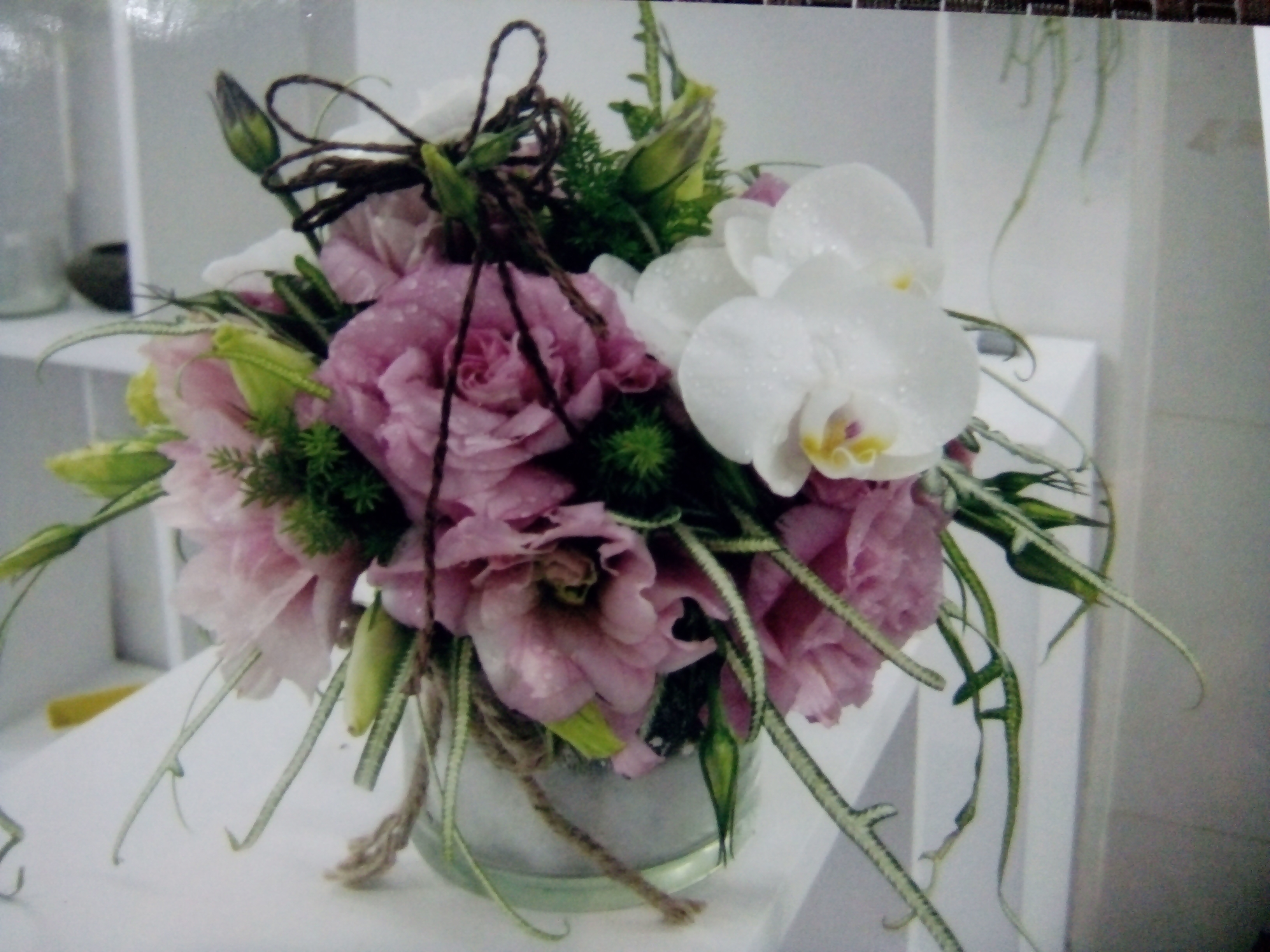 sunnyflowerone.com